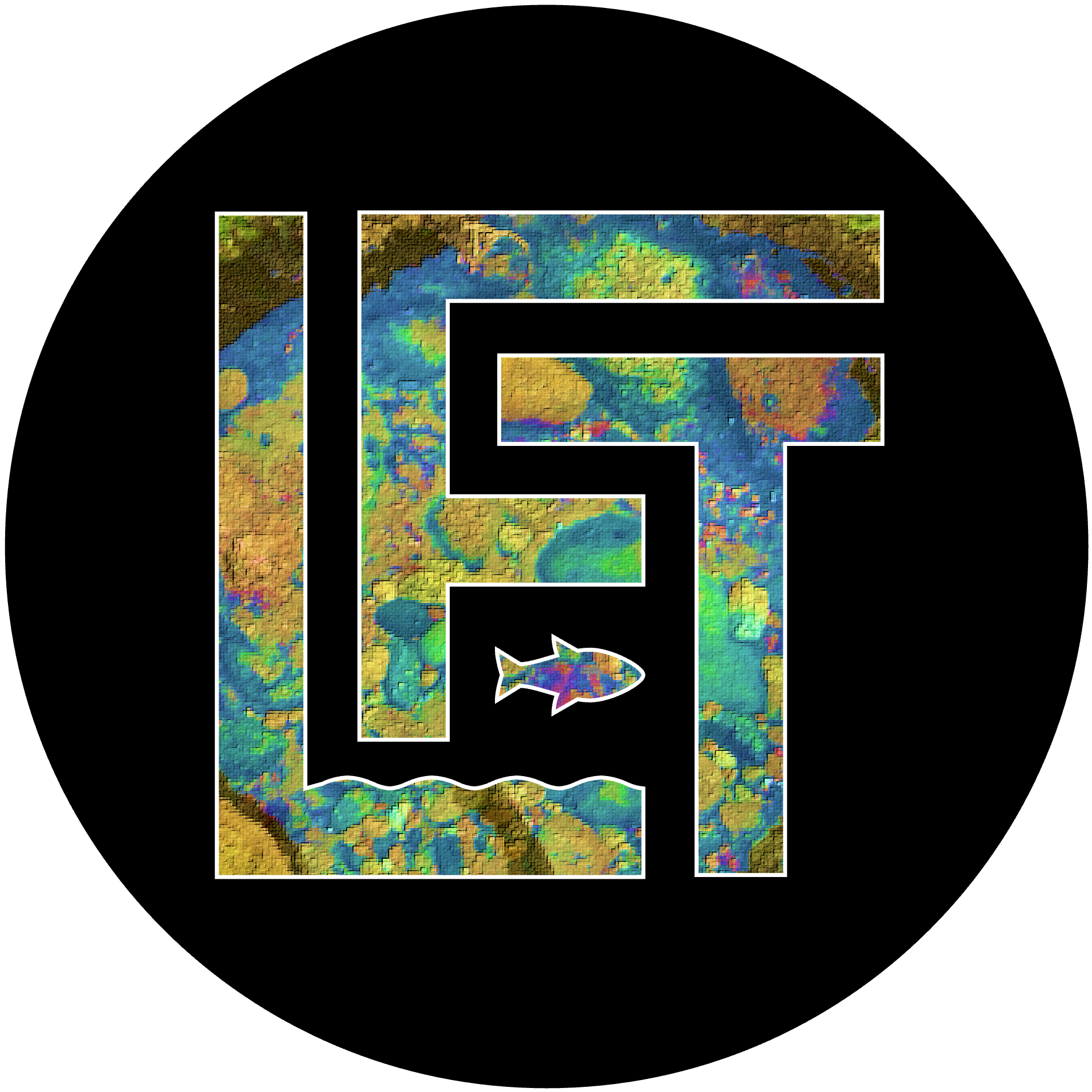Band Image