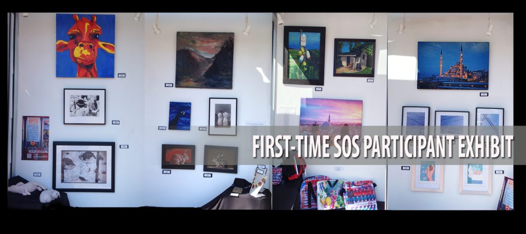 FIRST_TimeSOS2015 copy
