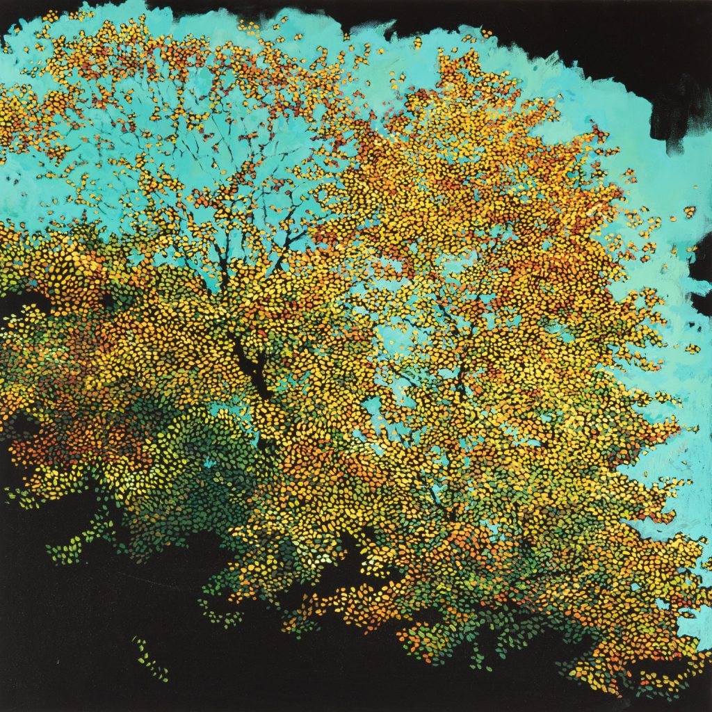 Fragmentation_Bethany